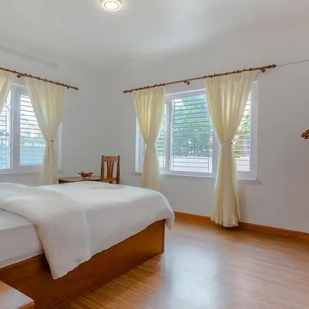 Lemon Tree Apartment